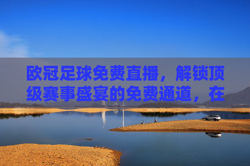 欧冠足球免费直播,解锁顶级赛事盛宴的免费通道,在家看豪门对决不花钱!