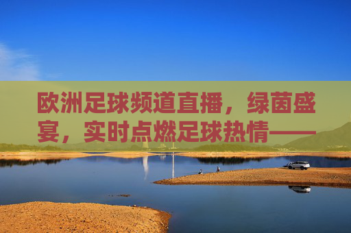 欧洲足球频道直播，绿茵盛宴，实时点燃足球热情——足球迷的终极观赛体验，欧洲足球频道直播，绿茵盛宴，实时点燃足球热情——足球迷的终极观赛体验