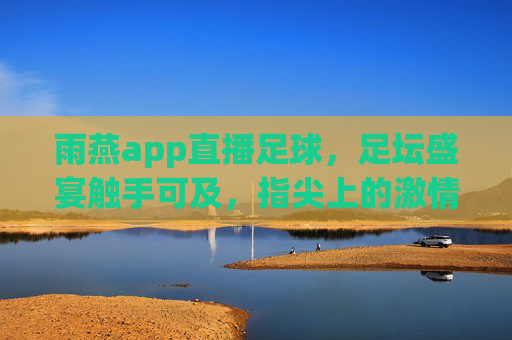 雨燕app直播足球，足坛盛宴触手可及，指尖上的激情盛宴，雨燕app直播足球，足坛盛宴触手可及，指尖上的激情盛宴