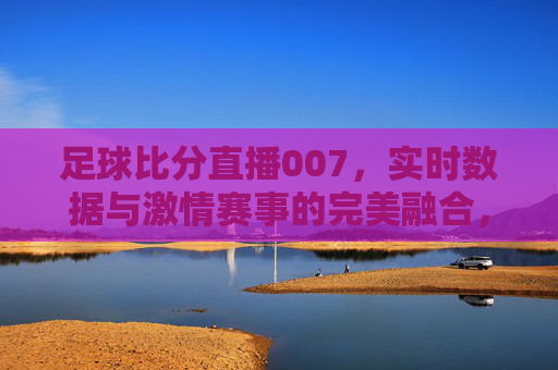 足球比分直播007,实时数据与激情赛事的完美融合,带你领略足球世界的精彩瞬间