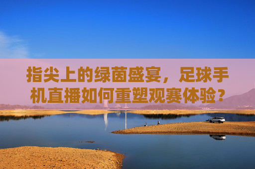 指尖上的绿茵盛宴，足球手机直播如何重塑观赛体验？