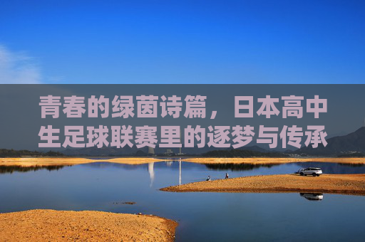 青春的绿茵诗篇,日本高中生足球联赛里的逐梦与传承,青春的绿茵诗篇,日本高中生足球联赛里的逐梦与传承