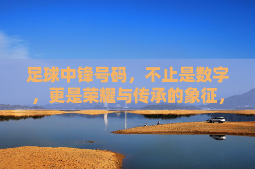 足球中锋号码，不止是数字，更是荣耀与传承的象征，足球中锋号码，不止是数字，更是荣耀与传承的象征