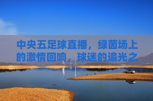 中央五足球直播，绿茵场上的激情回响，球迷的追光之旅，中央五足球直播，绿茵场上的激情回响，球迷的追光之旅