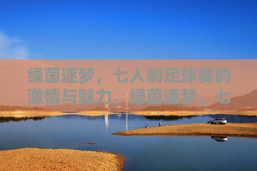 绿茵逐梦，七人制足球赛的激情与魅力，绿茵逐梦，七人制足球赛的激情与魅力