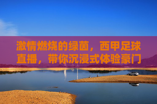 激情燃烧的绿茵，西甲足球直播，带你沉浸式体验豪门对决的每一个精彩瞬间，激情燃烧的绿茵，西甲足球直播，沉浸式体验豪门对决的每一个精彩瞬间