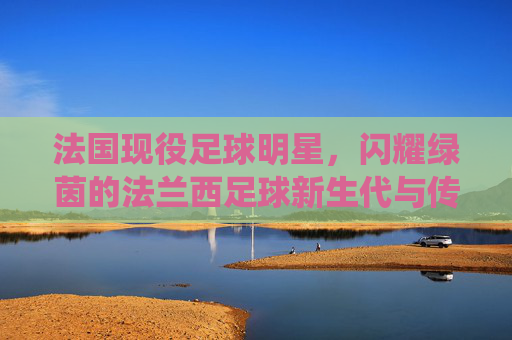 法国现役足球明星，闪耀绿茵的法兰西足球新生代与传承力量，法国现役足球明星，闪耀绿茵的法兰西足球新生代与传承力量