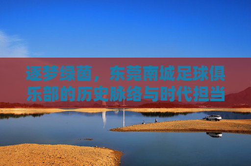 逐梦绿茵，东莞南城足球俱乐部的历史脉络与时代担当，逐梦绿茵，东莞南城足球俱乐部的历史脉络与时代担当