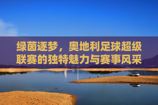 绿茵逐梦，奥地利足球超级联赛的独特魅力与赛事风采，绿茵逐梦，奥地利足球超级联赛的独特魅力与赛事风采