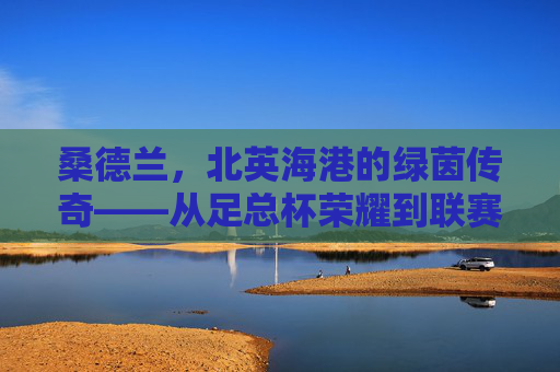 桑德兰,北英海港的绿茵传奇——从足总杯荣耀到联赛沉浮的百年足坛记忆,桑德兰,北英海港的绿茵传奇——从足总杯荣耀到联赛沉浮的百年足坛记忆