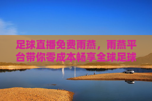 足球直播免费雨燕，雨燕平台带你零成本畅享全球足球盛宴，雨燕平台，免费足球直播，零成本畅享全球足球盛宴