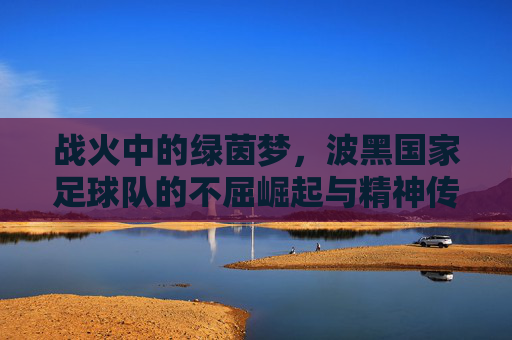 战火中的绿茵梦,波黑国家足球队的不屈崛起与精神传承,战火中的绿茵梦,波黑国家足球队的不屈崛起与精神传承