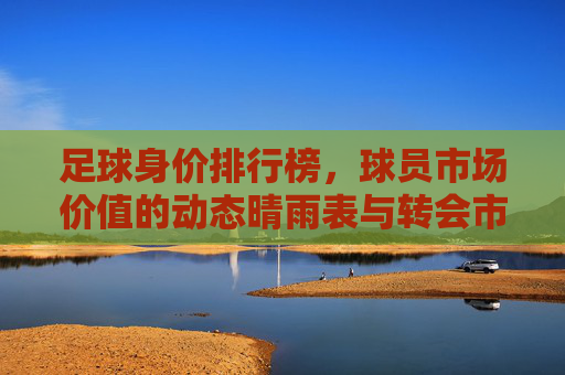 足球身价排行榜,球员市场价值的动态晴雨表与转会市场的风向标