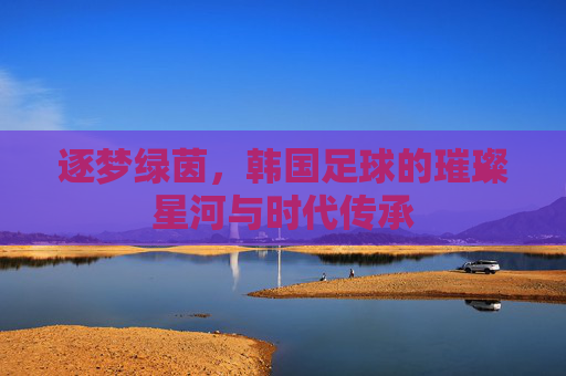 逐梦绿茵,韩国足球的璀璨星河与时代传承