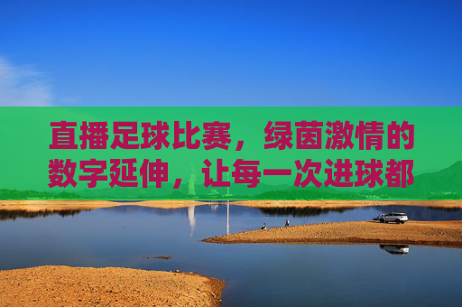 直播足球比赛,绿茵激情的数字延伸,让每一次进球都触手可及