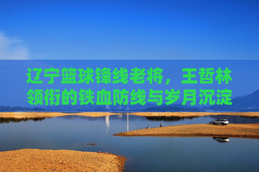 辽宁篮球锋线老将,王哲林领衔的铁血防线与岁月沉淀的传奇