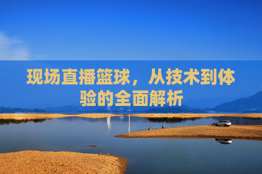 现场直播篮球,从技术到体验的全面解析