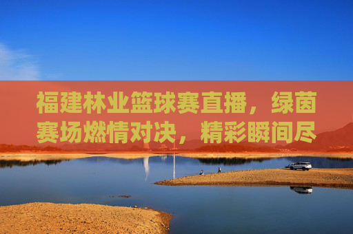 福建林业篮球赛直播，绿茵赛场燃情对决，精彩瞬间尽在镜头前——聚焦林业系统篮球赛事的线上狂欢