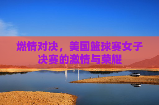 燃情对决,美国篮球赛女子决赛的激情与荣耀