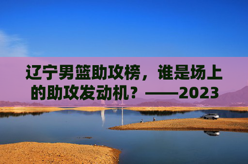 辽宁男篮助攻榜，谁是场上的助攻发动机？——2023-24赛季数据解析与战术价值探讨