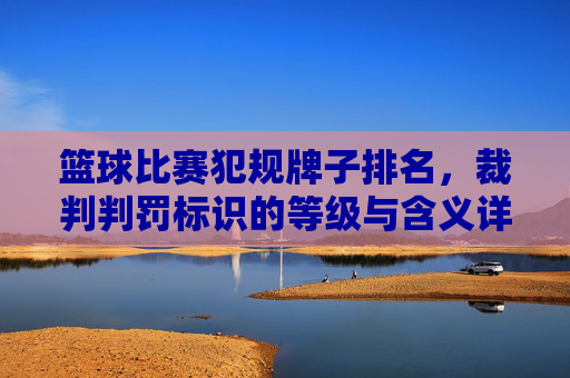 篮球比赛犯规牌子排名，裁判判罚标识的等级与含义详解，篮球比赛犯规牌子排名，裁判判罚标识的等级与含义详解