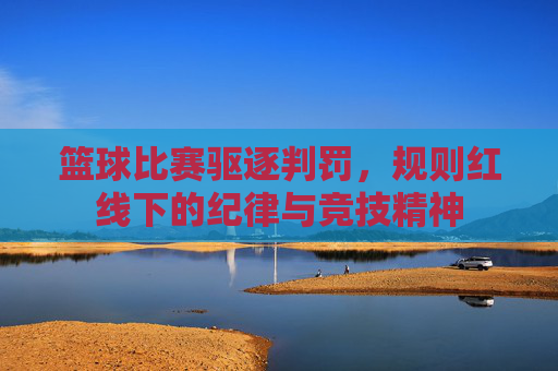 篮球比赛驱逐判罚,规则红线下的纪律与竞技精神