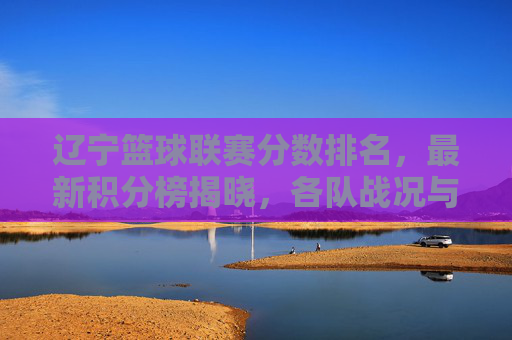 辽宁篮球联赛分数排名，最新积分榜揭晓，各队战况与竞争格局分析，辽宁篮球联赛最新积分榜，各队分数排名与战况竞争格局分析