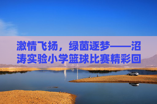 激情飞扬，绿茵逐梦——沼涛实验小学篮球比赛精彩回顾