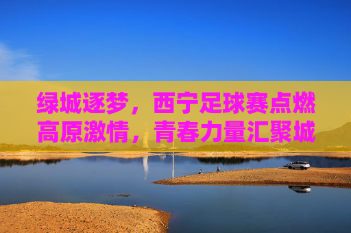 绿城逐梦,西宁足球赛点燃高原激情,青春力量汇聚城市活力