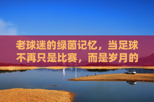 老球迷的绿茵记忆,当足球不再只是比赛,而是岁月的回响,老球迷的绿茵记忆,当足球不再只是比赛,而是岁月的回响