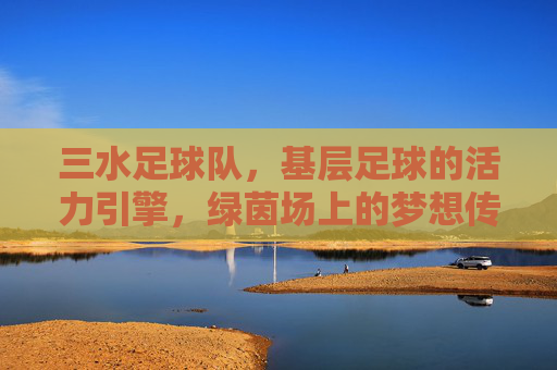 三水足球队，基层足球的活力引擎，绿茵场上的梦想传承，三水足球队，基层足球的活力引擎，绿茵场上的梦想传承