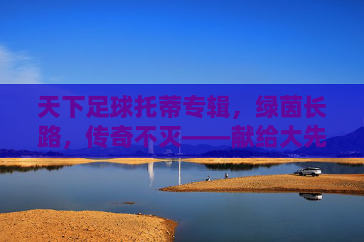天下足球托蒂专辑,绿茵长路,传奇不灭——献给大先生的永恒赞歌,天下足球托蒂专辑,绿茵长路,传奇不灭——献给大先生的永恒赞歌