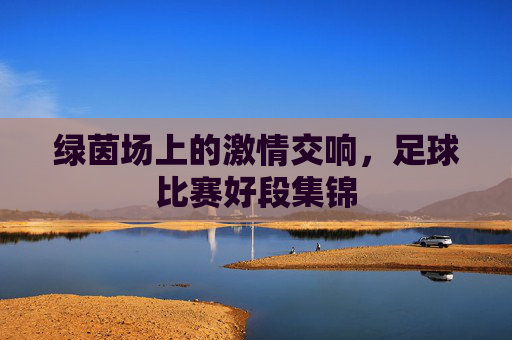 绿茵场上的激情交响,足球比赛好段集锦