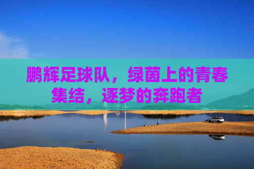 鹏辉足球队,绿茵上的青春集结,逐梦的奔跑者