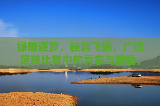 绿茵逐梦，桂韵飞扬，广西足球比赛中的青春与激情，绿茵逐梦，桂韵飞扬，广西足球比赛中的青春与激情