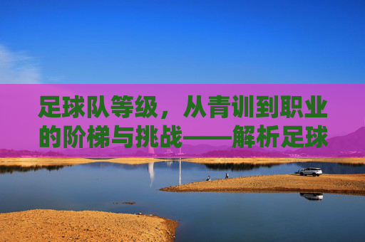 足球队等级，从青训到职业的阶梯与挑战——解析足球联赛体系的分层结构