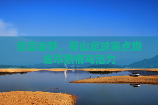 绿茵逐梦，鞍山足球赛点燃城市热情与活力