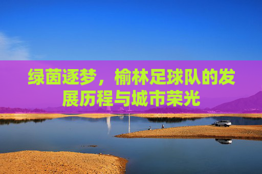绿茵逐梦，榆林足球队的发展历程与城市荣光