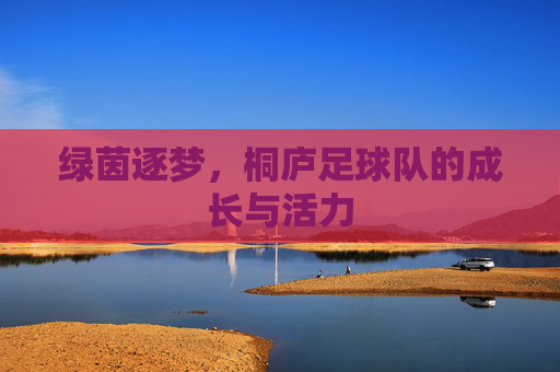 绿茵逐梦,桐庐足球队的成长与活力