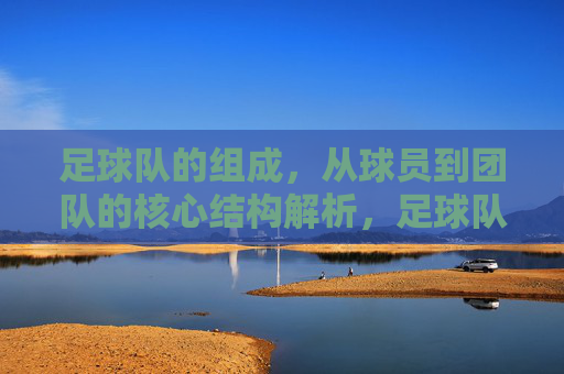 足球队的组成,从球员到团队的核心结构解析,足球队组成解析,从球员到核心结构