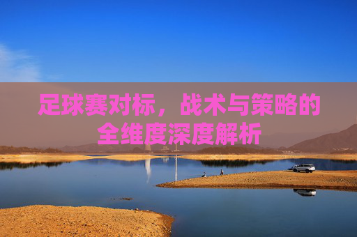 足球赛对标,战术与策略的全维度深度解析