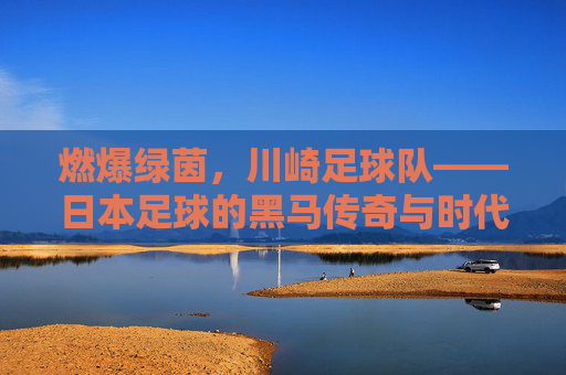 燃爆绿茵,川崎足球队——日本足球的黑马传奇与时代印记,燃爆绿茵,川崎足球队——日本足球的黑马传奇与时代印记