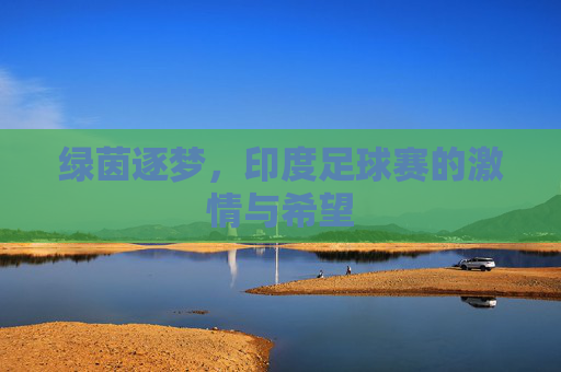 绿茵逐梦,印度足球赛的激情与希望