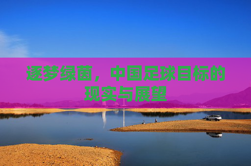 逐梦绿茵，中国足球目标的现实与展望