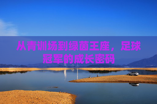 从青训场到绿茵王座,足球冠军的成长密码