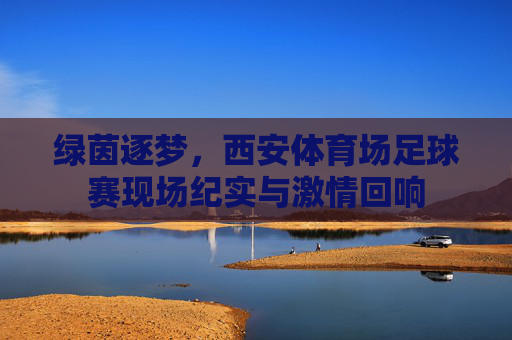 绿茵逐梦，西安体育场足球赛现场纪实与激情回响