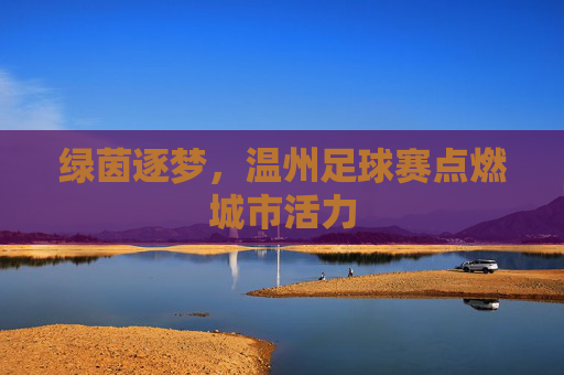 绿茵逐梦，温州足球赛点燃城市活力