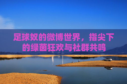 足球奴的微博世界,指尖下的绿茵狂欢与社群共鸣