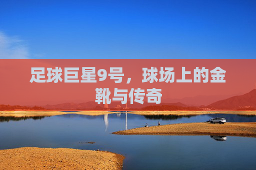 足球巨星9号,球场上的金靴与传奇