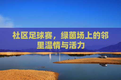 社区足球赛,绿茵场上的邻里温情与活力